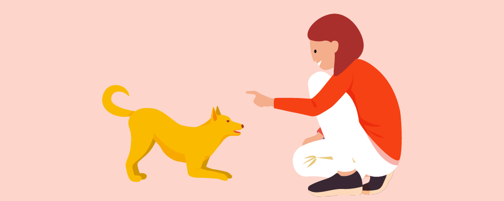What To Teach Your Puppy