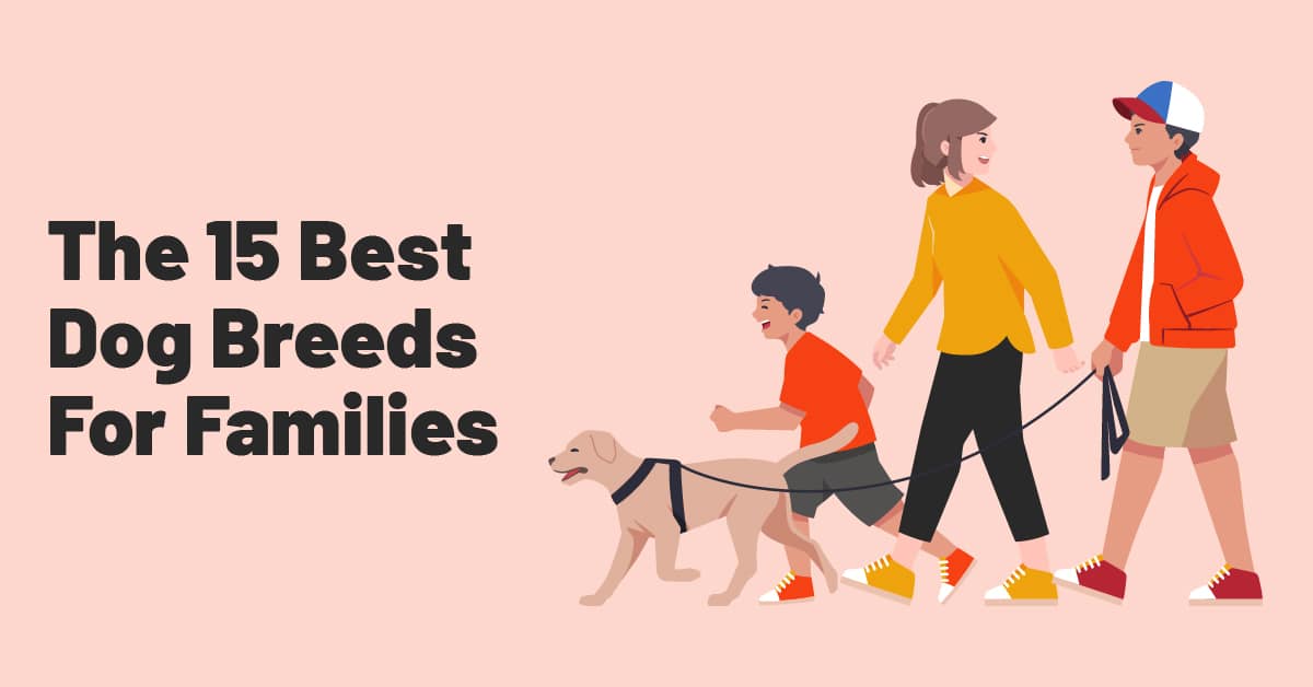 15 best dog breeds for families